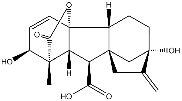 赤霉素GIBBERELLIC ACID，居然有這么神奇？